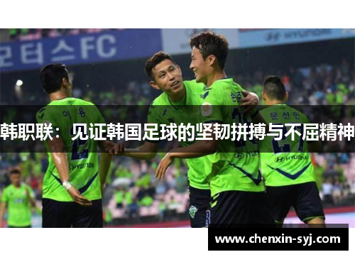 韩职联：见证韩国足球的坚韧拼搏与不屈精神